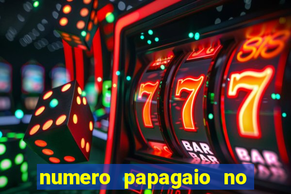 numero papagaio no jogo do bicho
